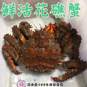 鲜活花礁帝王蟹日本进口皇后蟹长脚蟹活体棕蟹刺蟹1斤价2斤起拍