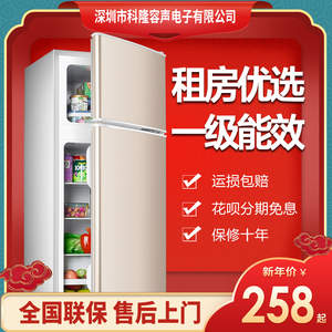 一级节能省电小型电冰箱家用宿舍租房迷你单人用双开门可冷冻冷藏