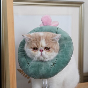 舒适爱猫脖套柔软轻薄猫伊丽莎白圈向日葵可拆洗猫绝育脖圈洗澡