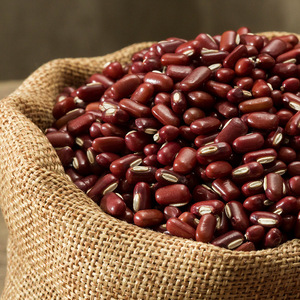 正宗红豆赤小豆