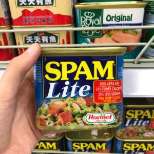 美国士宾牌减盐低脂午餐肉罐头居家方便煮食美味340克