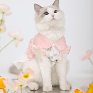 猫咪衣服裙子可爱宠物布偶猫猫薄款防掉毛无袖新年小猫幼猫公主裙