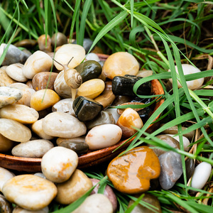 鹅卵石雨花石五彩色天然小石头鱼缸花盆铺面铺底造景水池庭院装饰