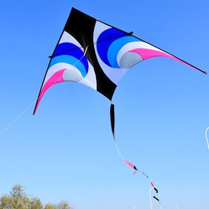 成人大风筝风筝 伞布碳杆杆 线轮微风易飞 2/3/6平米潍坊