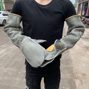 抓眼镜蛇防咬手套训犬大型猫狗鸟毒蛇凶猛动物防护厚牛皮护腿神器