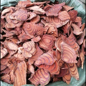 野生鸡血藤大血藤煲汤泡酒料活血怯瘀散节强筋络去风除湿中草药材