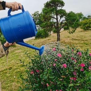 浇树水桶