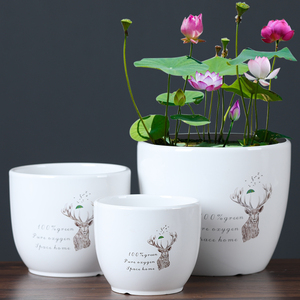 盆花盆碗莲睡莲专用器皿大号水培鱼缸陶瓷创意养的种塑料缸碗玻璃