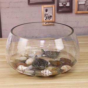 小型鱼缸玻璃透明圆形乌龟缸家用客厅桌面迷你椭圆形鼓缸甲鱼缸