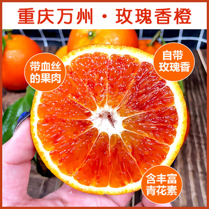 正宗重庆万州新鲜塔罗科玫瑰香橙血橙5-9斤夏季榨汁水果香甜果子