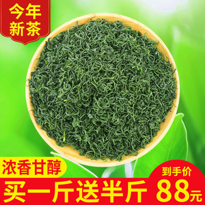 (发1.5斤)高山云雾绿茶2024新茶特级浓香型750g自己喝散装炒青茶