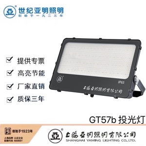 上海世纪亚明GT57b亚牌LED投光灯200W300W400W500W高杆泛光灯防水