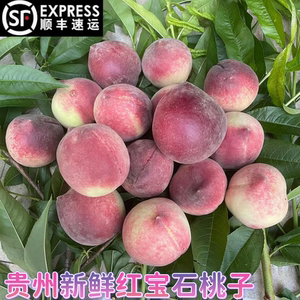 贵州新鲜水果特产现摘毛桃血桃红宝石水蜜桃子百花四月桃500g包邮