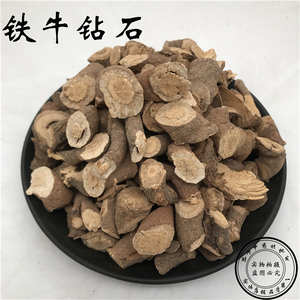 野生独行千里 铁牛钻石片 钻石风 石钻子 广香藤 500克 3斤包邮