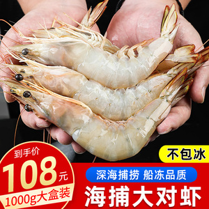 大明虾鲜活海鲜水产超大特大虾海捕虾对虾冷冻海虾鲜虾速冻虾包邮