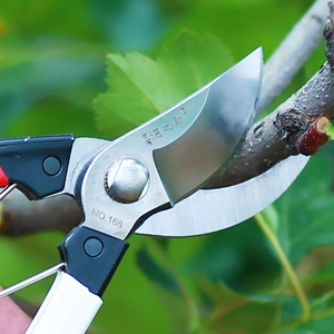 园艺剪刀锰钢园林修枝剪刀园艺果树粗树枝花木采摘五金工具花剪