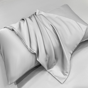 夏季冰丝枕套48x74cm枕芯内胆套水洗真丝枕头套一对装家用冷感