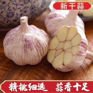 新干蒜大蒜头优质大蒜1斤-5斤新紫白皮新鲜特大