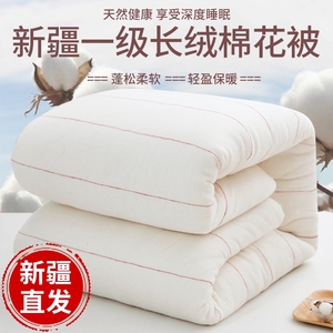 新疆一级长绒棉被棉花被子被芯棉絮床垫被褥子全棉纯棉花冬被水洗