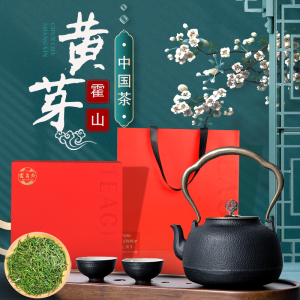 霍员外安徽特级明前霍山黄芽高档礼盒装500g