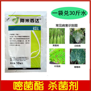 先正达 阿米西达 嘧菌酯 黄瓜黑星病炭疽病番茄叶霉病农药杀菌剂