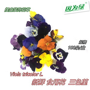 三色堇食用花 摆盘装饰花草 可食用鲜花 约35朵/盒
