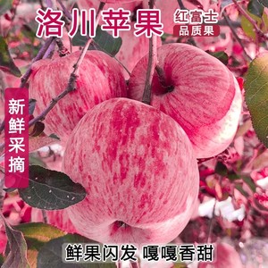 陕西洛川红富士苹果特产当季新鲜水果包邮薄皮脆甜多汁条纹红苹果
