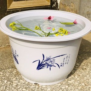 可以装水的花盆