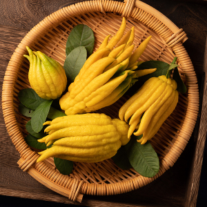 【现摘金佛手】佛手果金华佛手鲜果佛手柑水培养新鲜食用观赏闻香