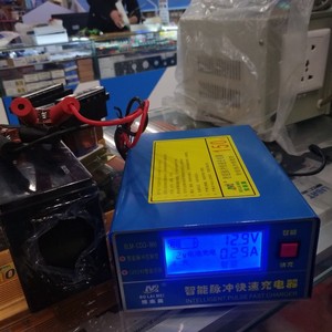 无锡赛格 汽车摩托车电瓶充电器/蓄电池12v24v通用充电机变压器00