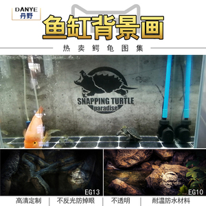 鱼缸背景纸画高清图3d立体壁纸水族箱贴纸壁画造景装饰鳄龟图定5d