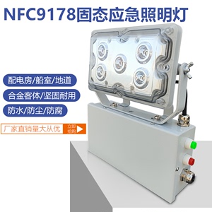 NFC9178固态应急照明灯 免维护配电房电站地下室地沟壁挂式照明灯