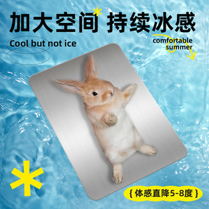 宠物仓鼠降温冰垫兔子夏天降温用品金丝熊散热板铝板凉席消暑用品