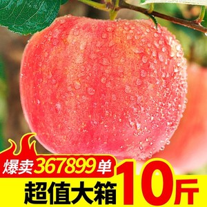 红富土苹果当季冰糖心一箱丑高山四川包装盒一个发包现季高原新鲜