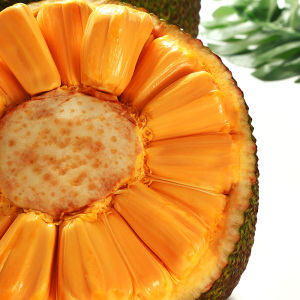 越南红肉菠萝蜜一整个红心波罗蜜新鲜水果包邮斤树非泰国30海南40