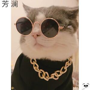 猫咪拍照装金毛泰迪金项链帅宠物配饰大金链子狗项圈小型犬可定制