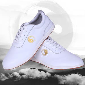 太极运动鞋夏季春夏