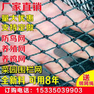 养鸡围栏网尼龙家禽养殖网家用拦编织网防逃防护网防鸟鸡舍护栏网
