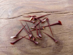 天然野生枣树刺酸枣刺穿耳洞耳针防过敏耳钉茶叶梗枣树枝尖刺