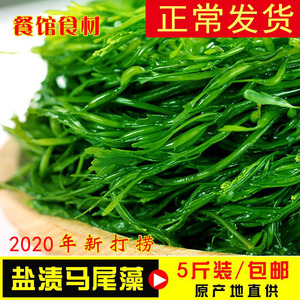 【正常发】5斤装马尾藻海草藻菜新鲜长寿菜盐渍即食羊栖菜鞭炮笋