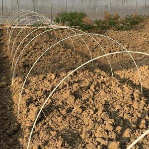 支架2米杆子玻纤棒2米大棚弹性保温棚菜园拱棚帐篷杆小棚园艺种菜