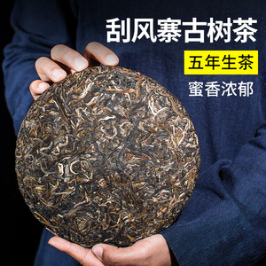 刮风寨古树茶问顶乔木普洱茶生茶饼易武正山大树老树茶野生茶宫廷