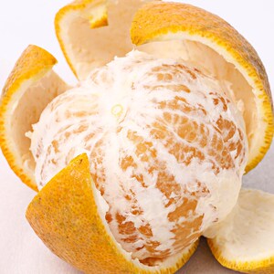 高橙温岭岙环特产浙江台州特色孕妇水果清热酸甜回味微苦水份爆汁