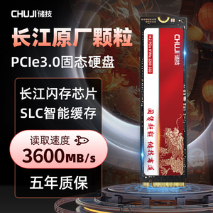 储技 固态硬盘1t2tb长江存储m2笔记本电脑台式机M.2 PCie3.0 SSD