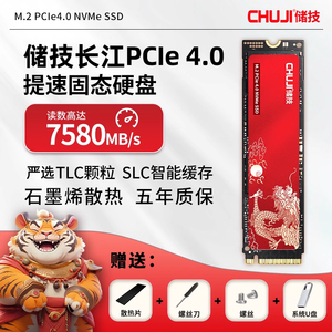 储技 长江固态硬盘1t M2 PCIe4.0 存储SSD笔记本PS5台式电脑2tb