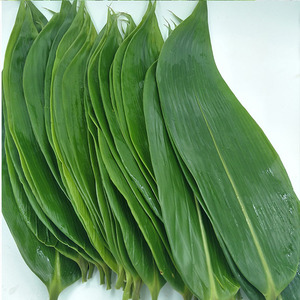 【竹笋叶新鲜】竹笋叶新鲜品牌,价格 - 阿里巴巴