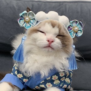 手工宠物古装头饰猫咪狗狗格格头变装帽子格格帽旗头