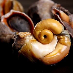 大田水产-淘宝拼多多热销大田水产货源拿货 - 阿里巴巴货源