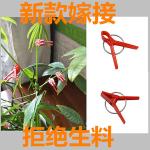 西瓜嫁接专用夹嫁接夹专用夹子蔬菜通用嫁接用小夹子塑料嫁接夹子