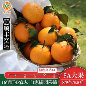 【当天鲜摘】正宗象山红美人柑橘爱媛28号净重5.5斤8个装新鲜